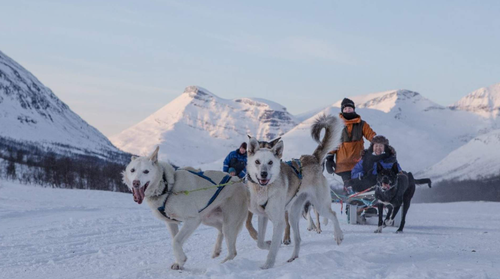 Dog Sledding &amp; Sami Culture, Finnmark, Troms, Norway